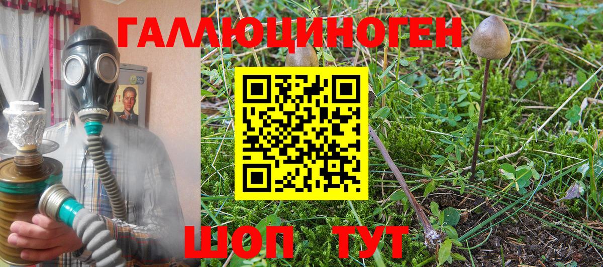 Галлюциногенные грибы MAGIC MUSHROOMS  Вход с VPN  Орск 